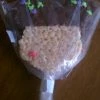 Coupon ???? Disney Minnie's Bake Shop - Rice Crispy Treat - Chocolate Ears ⭐ -Disney Shop imag1713