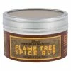 Flash Sale ???? Disney Spice Rub - Animal Kingdom - Flame Tree ???? -Disney Shop img 6076